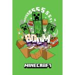 Minecraft Boom Creeper szuper puha polár takaró