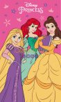 Disney Hercegnők Charm kéztörlő arctörlő